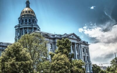 How State and Local Government Websites Can Improve Citizen Access and Trust