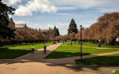 Website Portfolio Management for Schools, Districts, and Multi-Campus Institutions